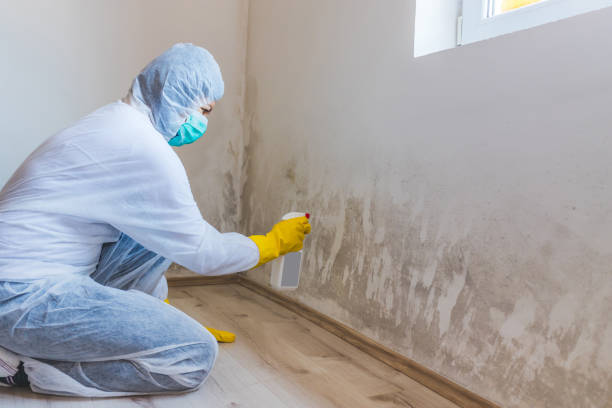 Licensed Attic Mold Remediation service in Fort Bragg, NC - 24 Hour Mold Removal