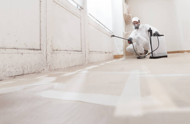 24/7 Emergency Attic Mold Remediation experts in Fort Bragg, NC