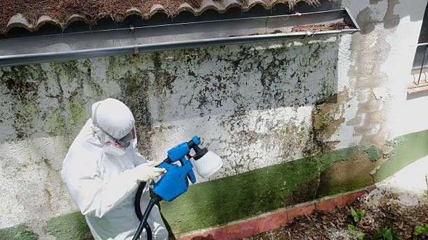 Top rated local Attic Mold Remediation specialists in Fort Bragg, NC